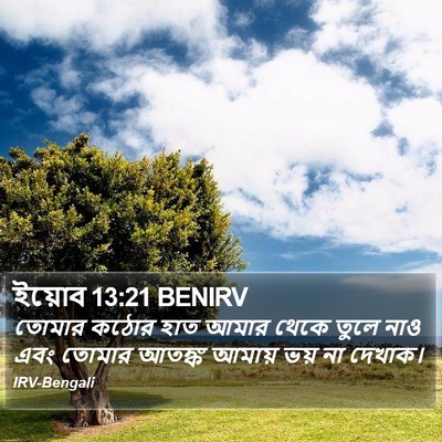 ইয়োব 13:21 BENIRV Bible Verse Image