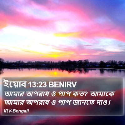 ইয়োব 13:23 BENIRV Bible Verse Image