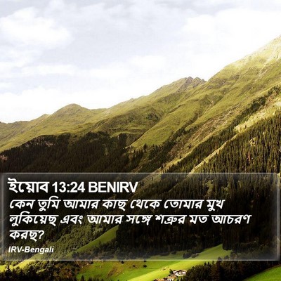 ইয়োব 13:24 BENIRV Bible Verse Image
