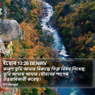 ইয়োব 13:26 BENIRV Bible Verse Image