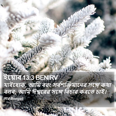 ইয়োব 13:3 BENIRV Bible Verse Image