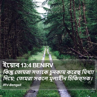 ইয়োব 13:4 BENIRV Bible Verse Image