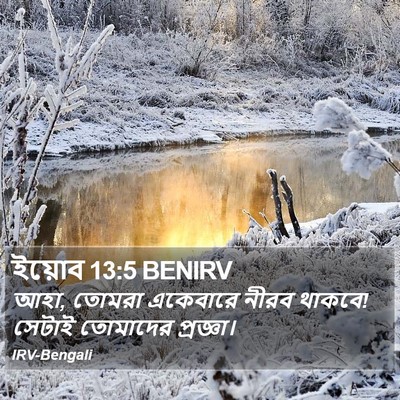 ইয়োব 13:5 BENIRV Bible Verse Image
