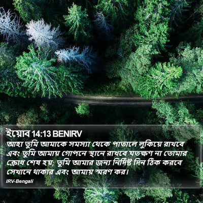 ইয়োব 14:13 BENIRV Bible Verse Image