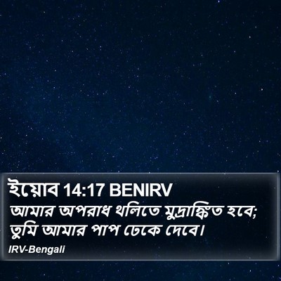 ইয়োব 14:17 BENIRV Bible Verse Image