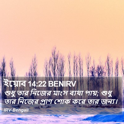 ইয়োব 14:22 BENIRV Bible Verse Image