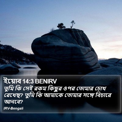 ইয়োব 14:3 BENIRV Bible Verse Image