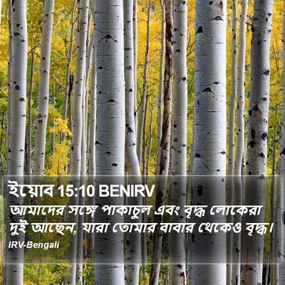 ইয়োব 15:10 BENIRV Bible Verse Image
