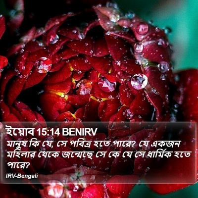 ইয়োব 15:14 BENIRV Bible Verse Image
