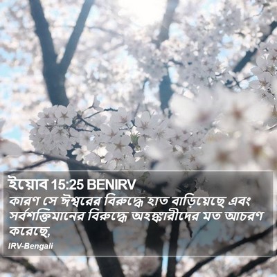 ইয়োব 15:25 BENIRV Bible Verse Image