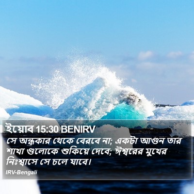 ইয়োব 15:30 BENIRV Bible Verse Image