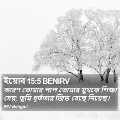 ইয়োব 15:5 BENIRV Bible Verse Image