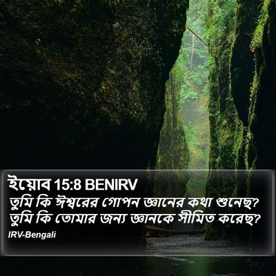 ইয়োব 15:8 BENIRV Bible Verse Image