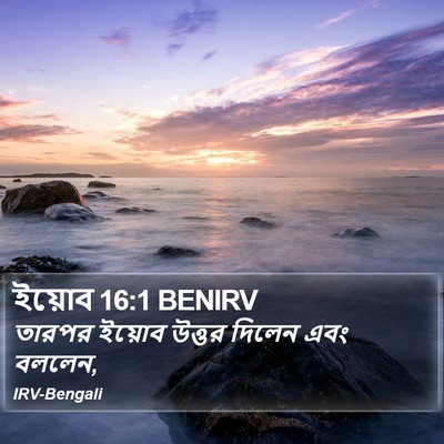 ইয়োব 16:1 BENIRV Bible Verse Image