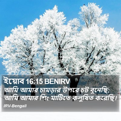 ইয়োব 16:15 BENIRV Bible Verse Image