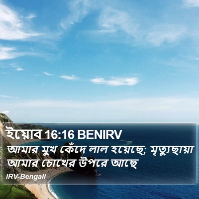 ইয়োব 16:16 BENIRV Bible Verse Image