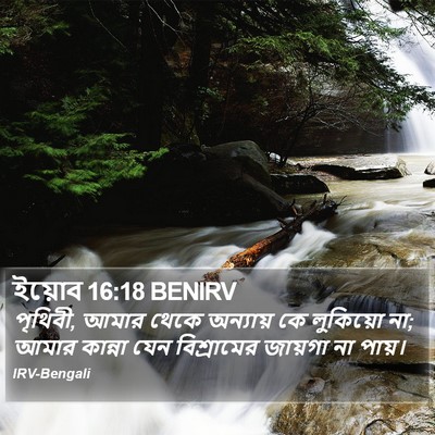 ইয়োব 16:18 BENIRV Bible Verse Image