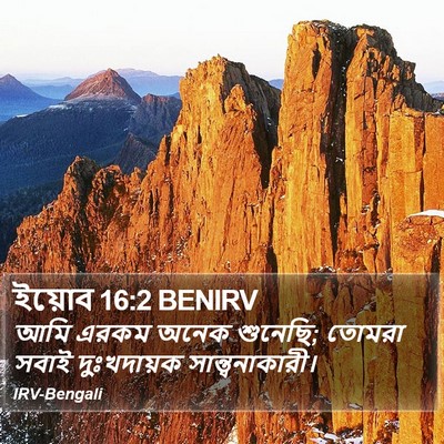 ইয়োব 16:2 BENIRV Bible Verse Image