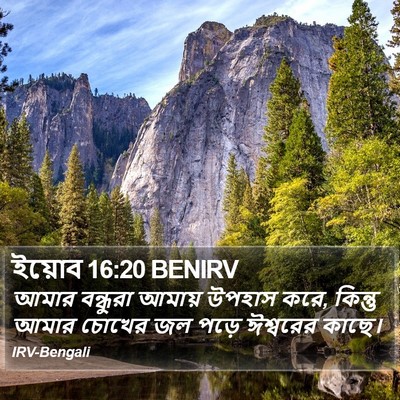 ইয়োব 16:20 BENIRV Bible Verse Image