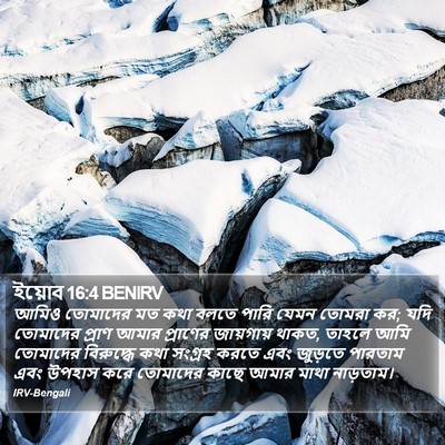 ইয়োব 16:4 BENIRV Bible Verse Image