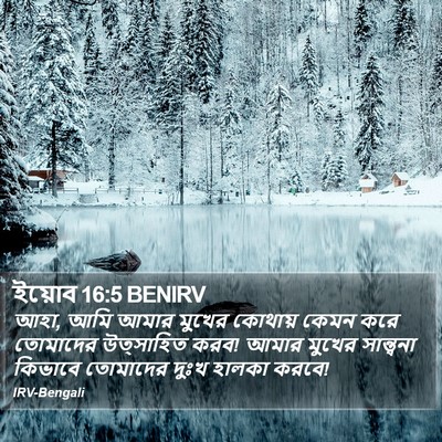 ইয়োব 16:5 BENIRV Bible Verse Image