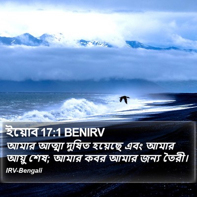 ইয়োব 17:1 BENIRV Bible Verse Image