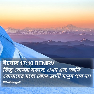 ইয়োব 17:10 BENIRV Bible Verse Image