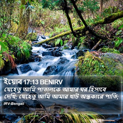 ইয়োব 17:13 BENIRV Bible Verse Image