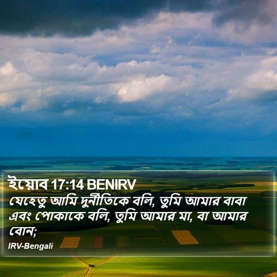ইয়োব 17:14 BENIRV Bible Verse Image