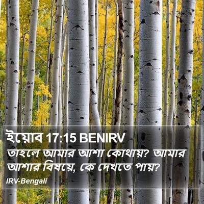 ইয়োব 17:15 BENIRV Bible Verse Image
