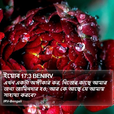 ইয়োব 17:3 BENIRV Bible Verse Image