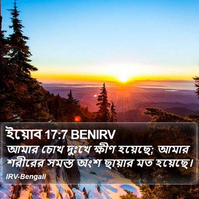 ইয়োব 17:7 BENIRV Bible Verse Image