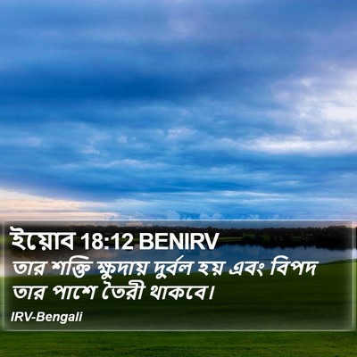 ইয়োব 18:12 BENIRV Bible Verse Image