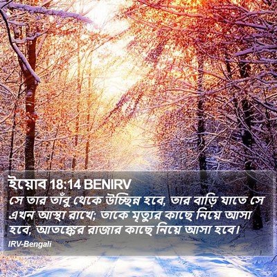 ইয়োব 18:14 BENIRV Bible Verse Image