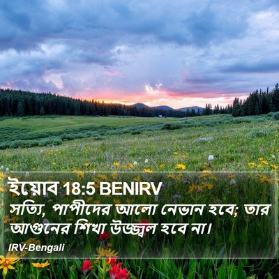 ইয়োব 18:5 BENIRV Bible Verse Image