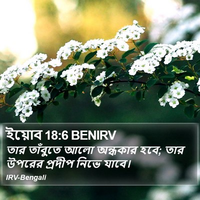 ইয়োব 18:6 BENIRV Bible Verse Image