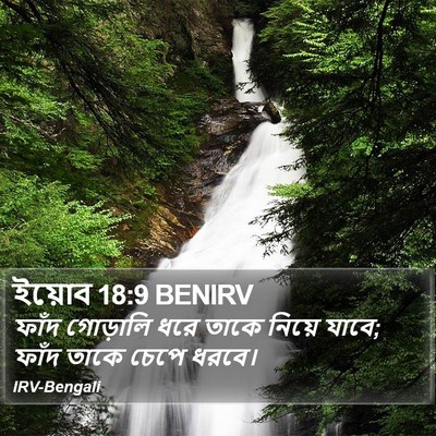 ইয়োব 18:9 BENIRV Bible Verse Image