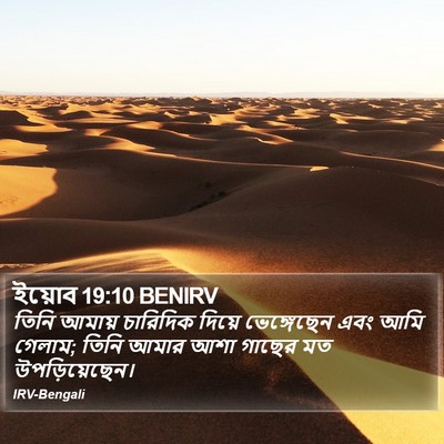 ইয়োব 19:10 BENIRV Bible Verse Image
