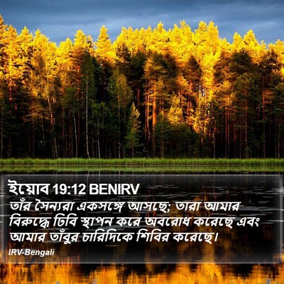 ইয়োব 19:12 BENIRV Bible Verse Image