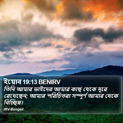 ইয়োব 19:13 BENIRV Bible Verse Image