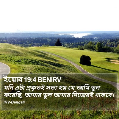 ইয়োব 19:4 BENIRV Bible Verse Image