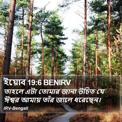 ইয়োব 19:6 BENIRV Bible Verse Image