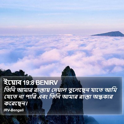 ইয়োব 19:8 BENIRV Bible Verse Image