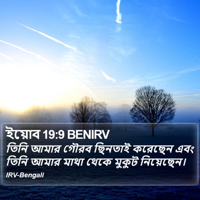 ইয়োব 19:9 BENIRV Bible Verse Image