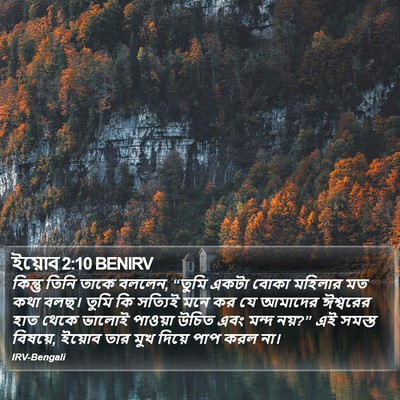 ইয়োব 2:10 BENIRV Bible Verse Image