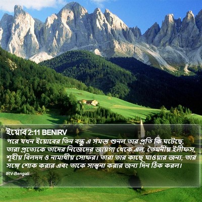 ইয়োব 2:11 BENIRV Bible Verse Image
