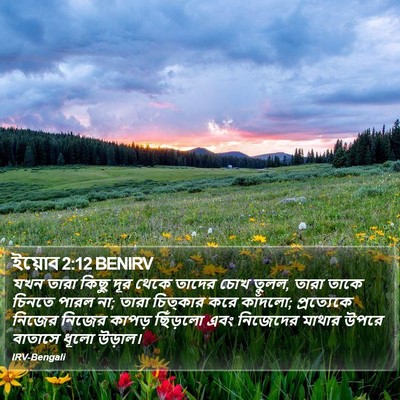 ইয়োব 2:12 BENIRV Bible Verse Image