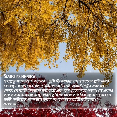 ইয়োব 2:3 BENIRV Bible Verse Image
