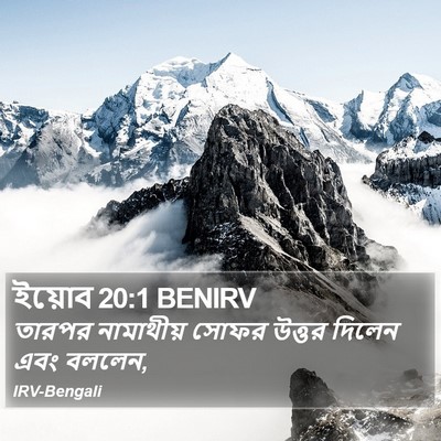 ইয়োব 20:1 BENIRV Bible Verse Image