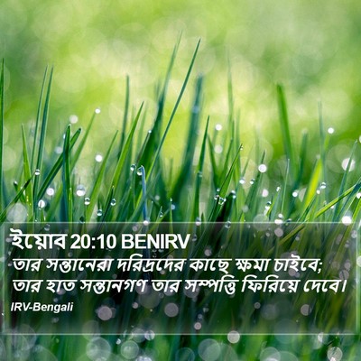 ইয়োব 20:10 BENIRV Bible Verse Image